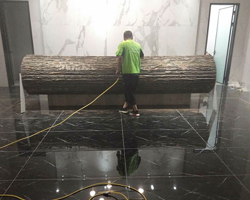 首創(chuàng)國際除甲醛